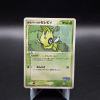 Pokepark_s Celebi PokePark Forest #001 Front PokePark's Celebi PokePark Forest Promo #001 (LP)